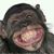 April Gonzales's profile image