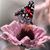 Lydia Chica's profile image