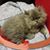Jay Cole's profile image