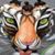 Dan Finlay's profile image