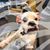 Faith Garcia's profile image