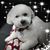Richard Purzycki's profile image