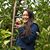 Ann Liu's profile image