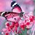 Ann Marie Franklin's profile image