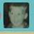Buddy Jowers's profile image
