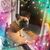 Jill M Zondervan's profile image