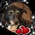 Autumn Hagberg's profile image
