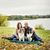 Julie Wherley's profile image