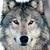 Mitch Hibdon's profile image
