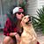 Niomi Adams's profile image