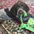 Jan Enz Yonkers's profile image