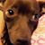 Donald Roembke's profile image