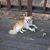 Linda Hamilton's profile image