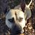 Dave Masone's profile image
