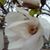 Kristine Stensrude's profile image
