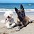 Marla Vogeley's profile image
