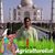 Dr-Ravi Shankar Verma's profile image