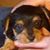 Rodney Bannen's profile image