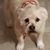 Donna Huff's profile image
