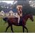 Dawn Smith's profile image