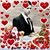 Derek Phillips's profile image