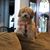 Mimi Lynn's profile image
