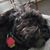 Donna Riggenbach Haslam's profile image