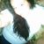 Paula Travelstead's profile image