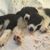Gary Hartke's profile image