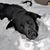Theresa Naugle's profile image