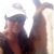 Jessica Vaughn Hussey's profile image