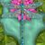 Suzanne Beth Sutton's profile image