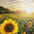 Valarie Beck's profile image