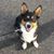 Karie Sazama Rigsby's profile image