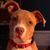 Maxine Stine's profile image