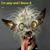 Vonnie Cates's profile image