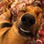 Bobbie Poller's profile image