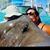 Julia Ann's profile image