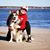Kristine Heiman's profile image