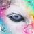 Amy Thompson's profile image
