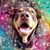 Amber Wolf's profile image