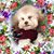 Katie Krueger's profile image