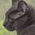 Greg Bishop's profile image