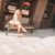 Brooke Emily Kleinhen's profile image