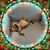 Jay Contes's profile image