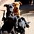 Helene Leff's profile image