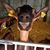 Gues Martine's profile image