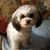 Donna Williams's profile image