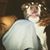 George Rojas's profile image