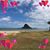Lisa Verhey's profile image